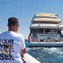 Ghazala Adventure Red Sea Liveaboard