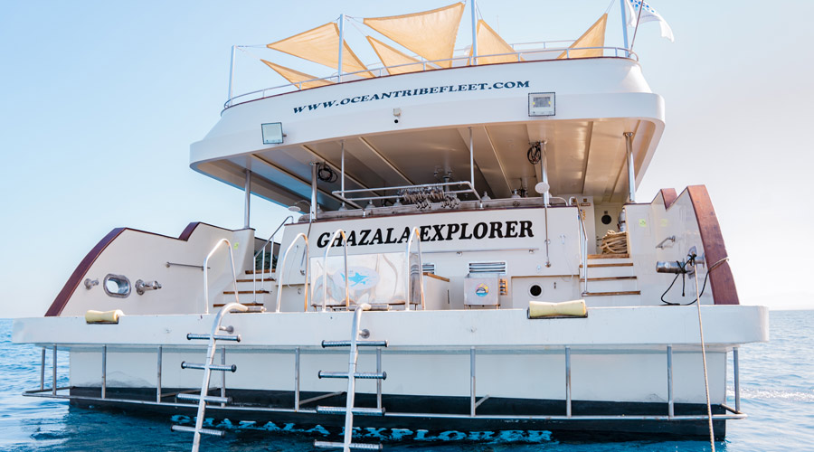 Ghazala Explorer Red Sea Liveaboard
