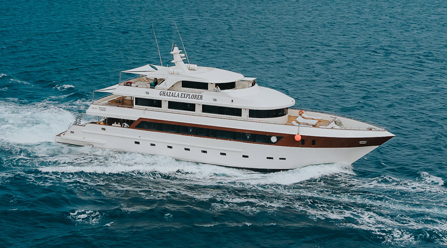 Ghazala Explorer Red Sea Liveaboard