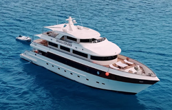 Ghazala Explorer